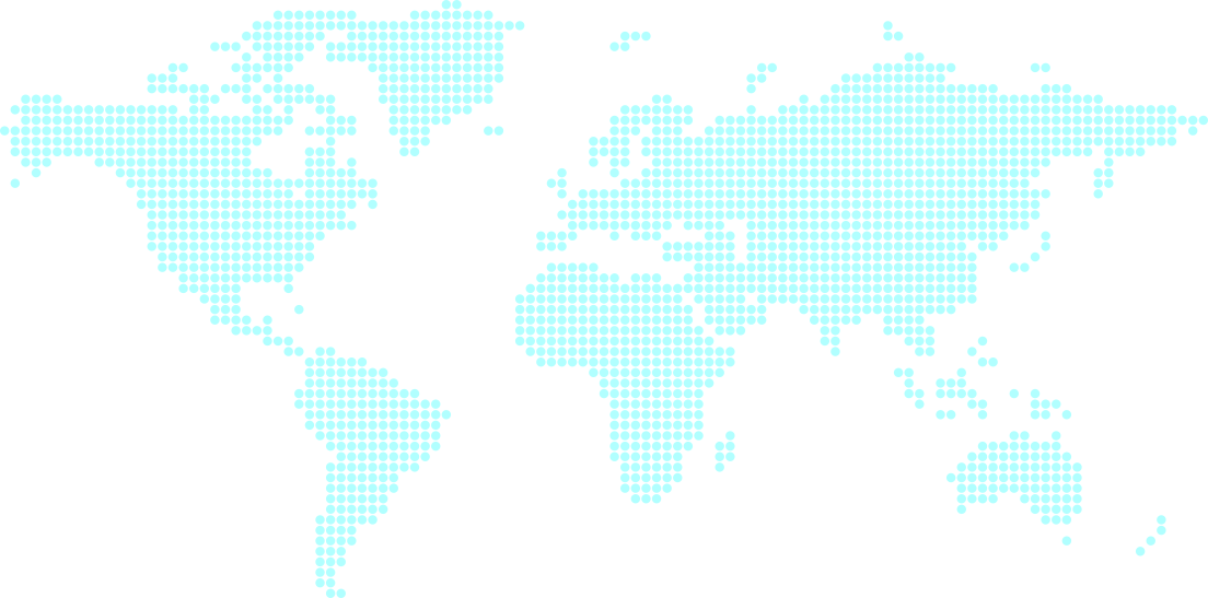 Shunter global service network